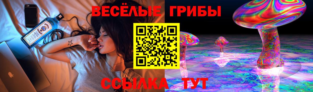 Галлюциногенные грибы Psilocybine cubensis  Вход с VPN  Красноармейск 